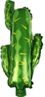 M10 mini shape cactus קקטוס x1