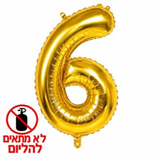 MN32 Number 6 gold ספרה זהב x1