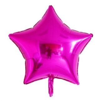 MS18 Fuchsia star כוכב פוקסיה x1