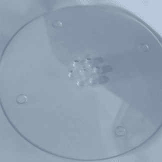 בסיס לעמוד שולחן x1