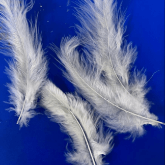 feathers white נוצות צבע לבן x1