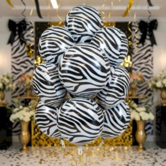 BH22 גונגל זברה bp x1