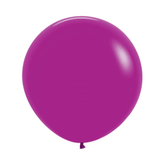 RS24 Sempertex /056 Fashion Purple Orchid סחלב סגול x1