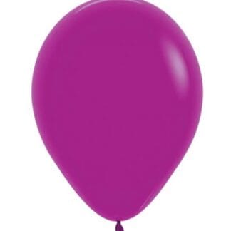 RS12 Sempertex /056 Fashion Purple Orchid סחלב סגול x100