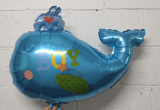 M30 Blue whale baby BOY לויתן כחול בן x1