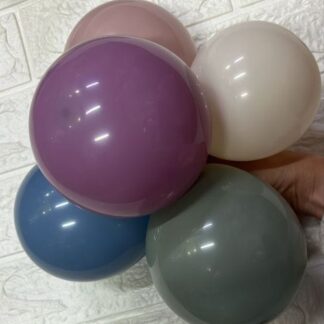 12" b600 pastel dust assorted שר הבלונים אבק מעורב x50