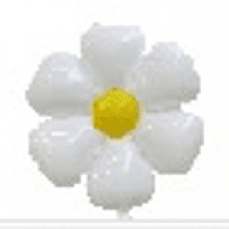 M20 Daisy 50*40cm פרח דייזי x1