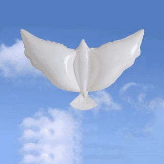 M34 white dove יונה לבנה x1