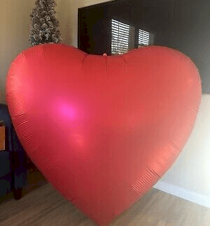 MH63 63inch big heart x1