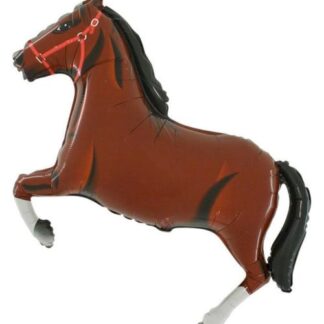 BH26 סוס חום כהה  bp x1