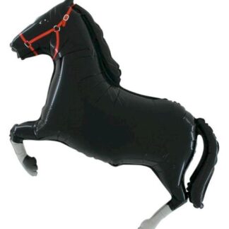 BH26סוס חום שחור  bp x1