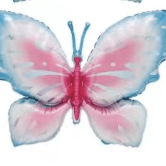 BH26 פרפר צבעוני bp x1