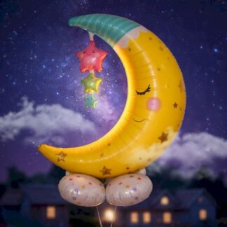 CF big stand moon ירח 113*90 x1