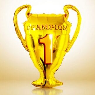 משלוח חדש winner cup x1