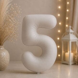 MN34 Number 5 White ספרה צבע לבן x1bp.