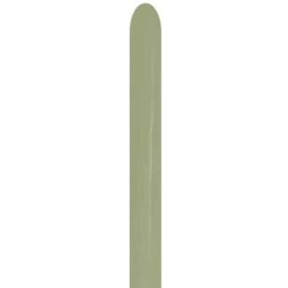 S260 Sempertex /027 Fashion Eucalyptus אקליפטוס x50 חדש