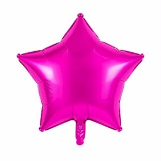 MS18 Fuchsia star כוכב פוקסיה x1