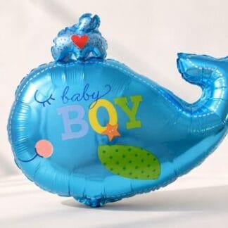 M30 Blue whale baby BOY לויתן כחול בן x1